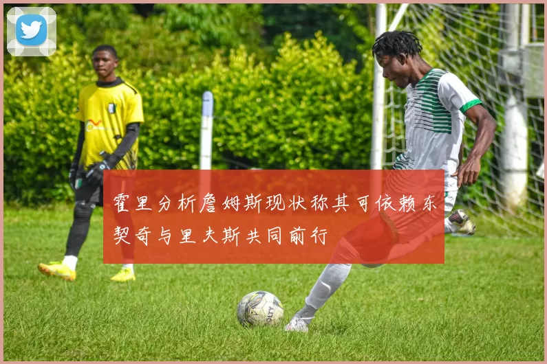 霍里分析詹姆斯现状称其可依赖东契奇与里夫斯共同前行